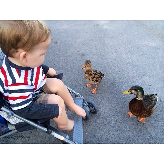 062a183862ab11e388c2122b5091b684_8