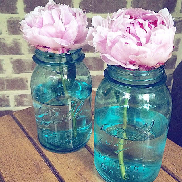 Fresh Flowers - Peonies