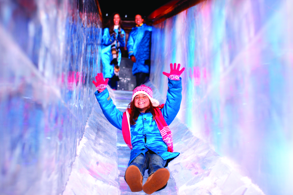 1584570_girl_going_down_ICE_slide