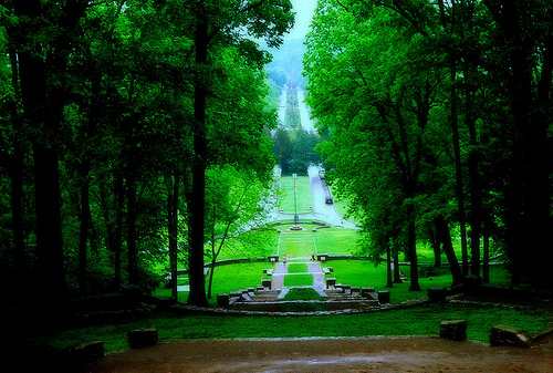 3492534304_832e45676d