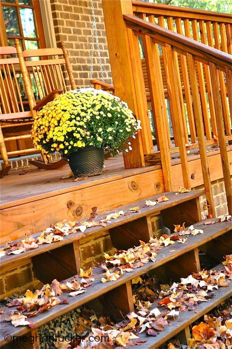 5140068210_4d19a2f350_o