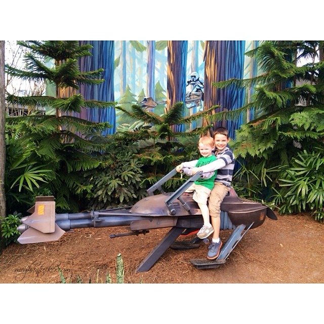 51424c3262a111e395af12cdc849cb9b_8