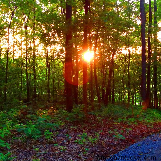 7305261002_525827727d_o