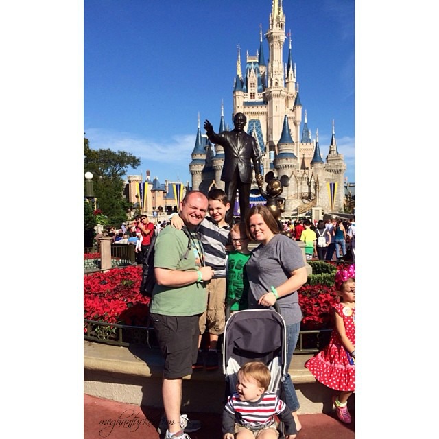 Disney's Magic Kingdom Castle