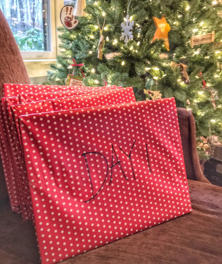 24 Days of Christmas Books