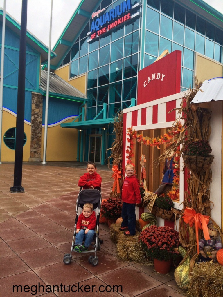 Ripley's Aquarium of the Smokies