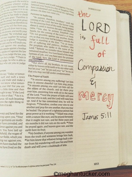 Crossway Books Journaling Bible