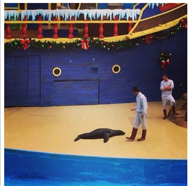 SeaWorld Clyde & Seamore Show