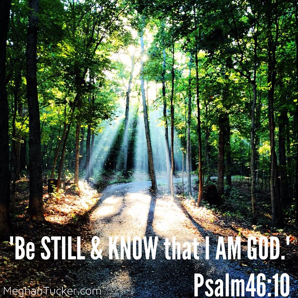 c69ee18a8c4011e283fe22000a1fa511_7