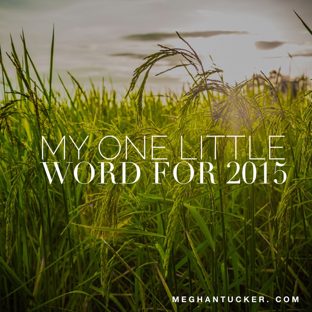 My One Little Word for 2015