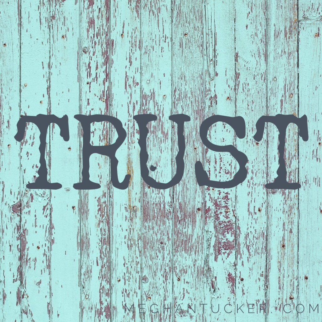 Trust - My One Little Word for 2015