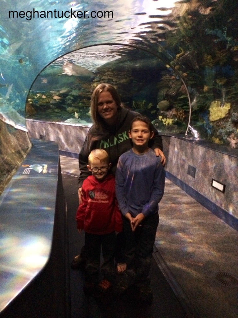 Ripley's Aquarium