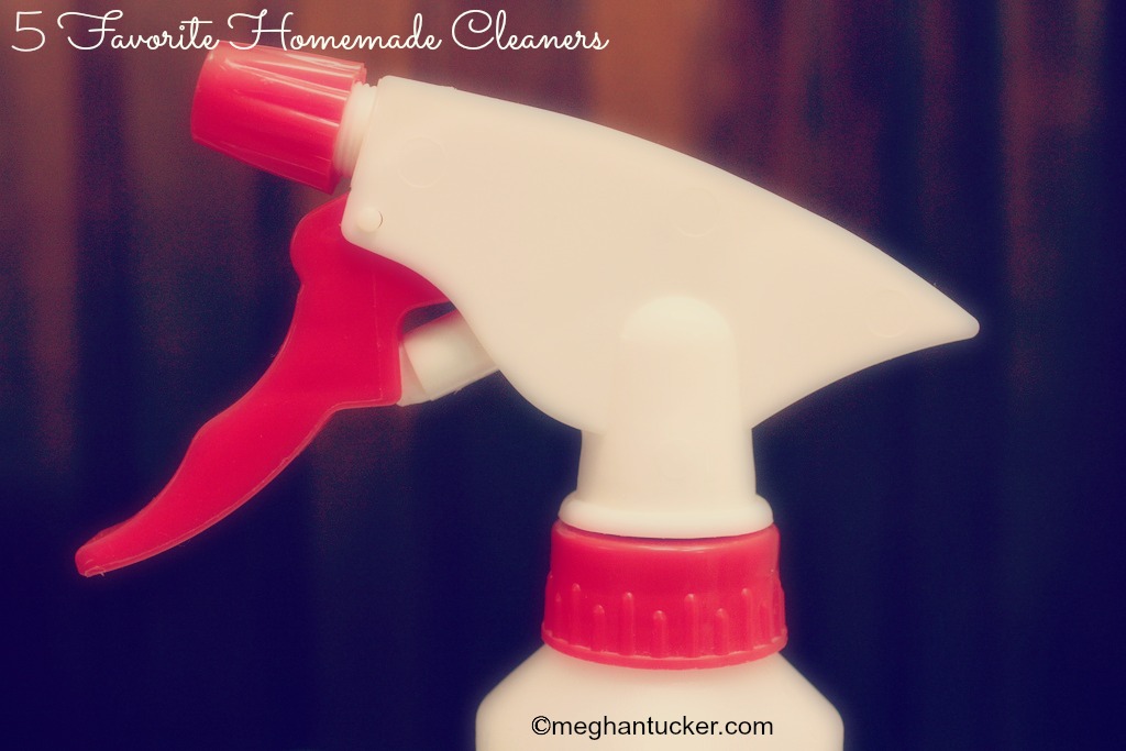 Homemade Cleaners Water Bottle