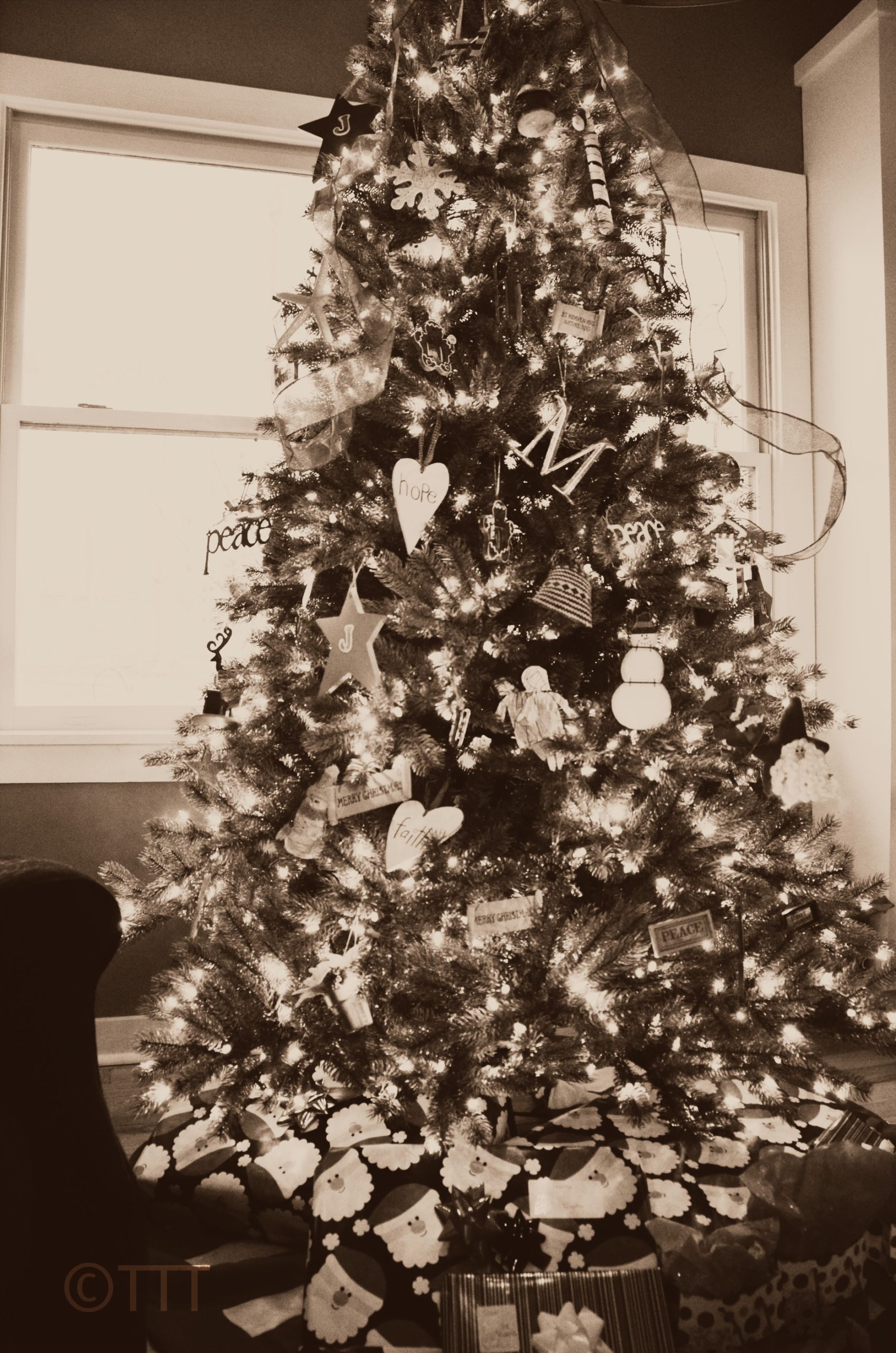 Favorite Christmas Ornament/Decoration {link-up}