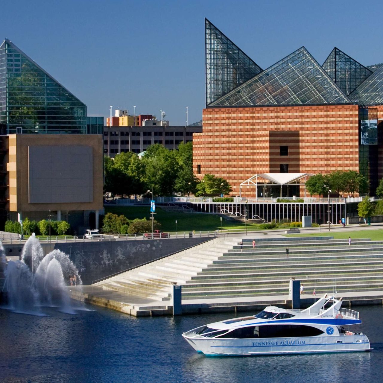 Tennessee Aquarium {giveaway}