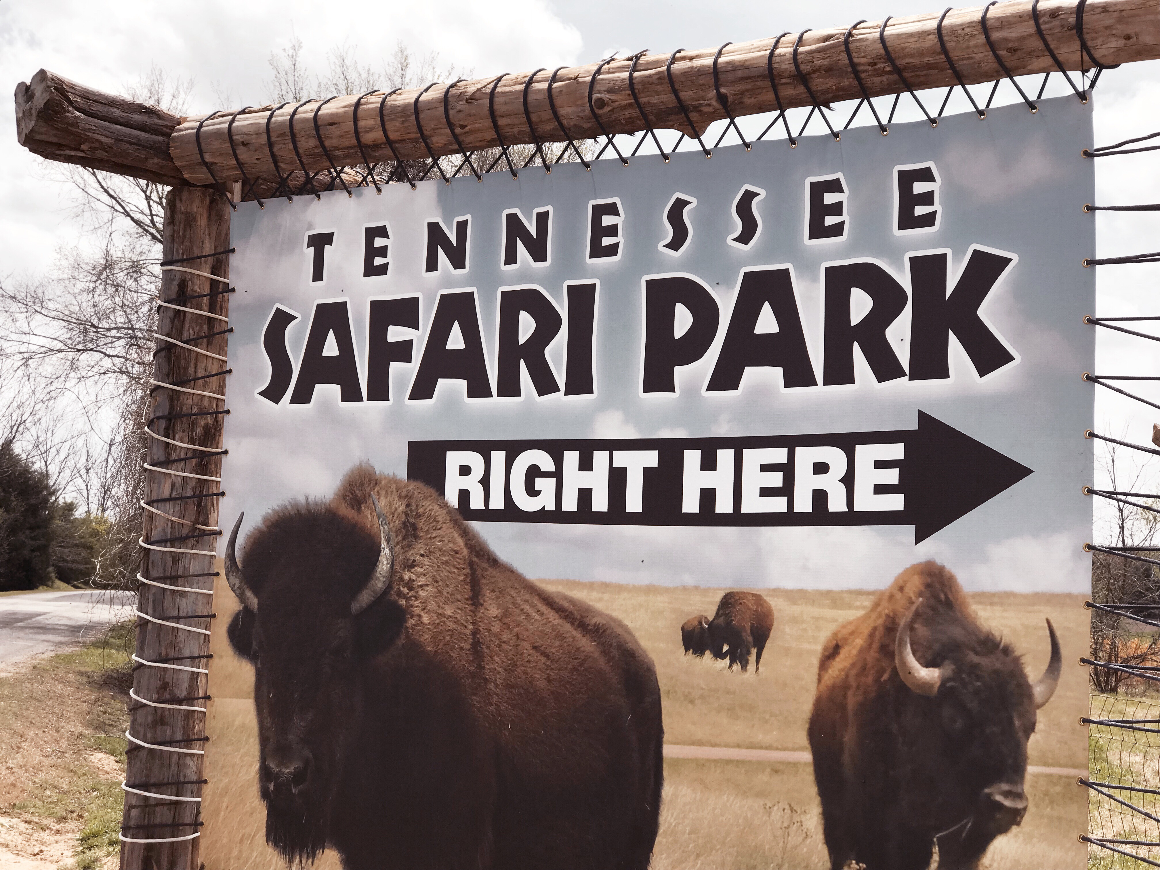 Tennessee Safari Park {review}