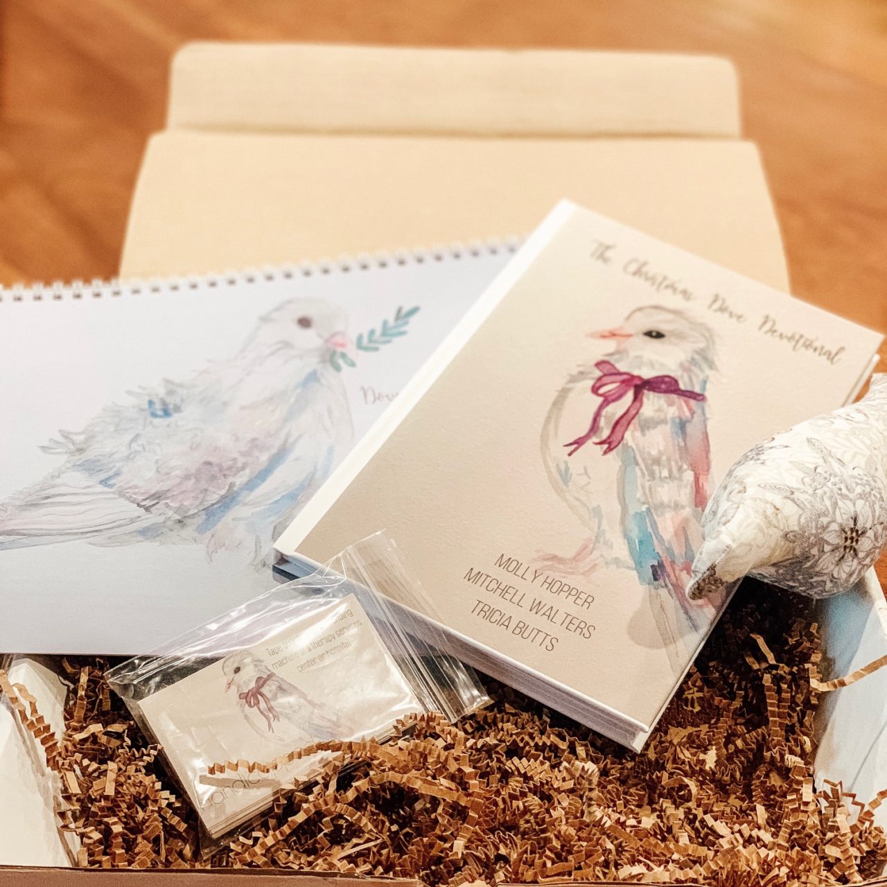 Christmas Dove: Doing Good, not Being Good {review + a discount code}