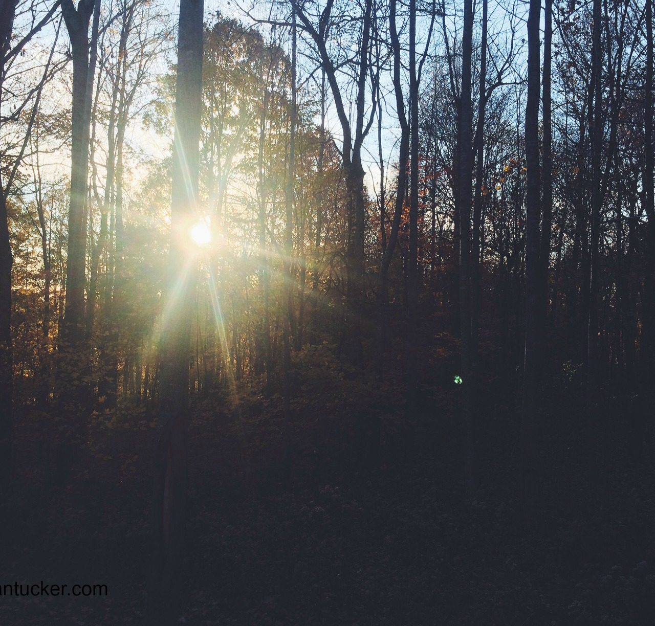 Sacred Moments on Sunday