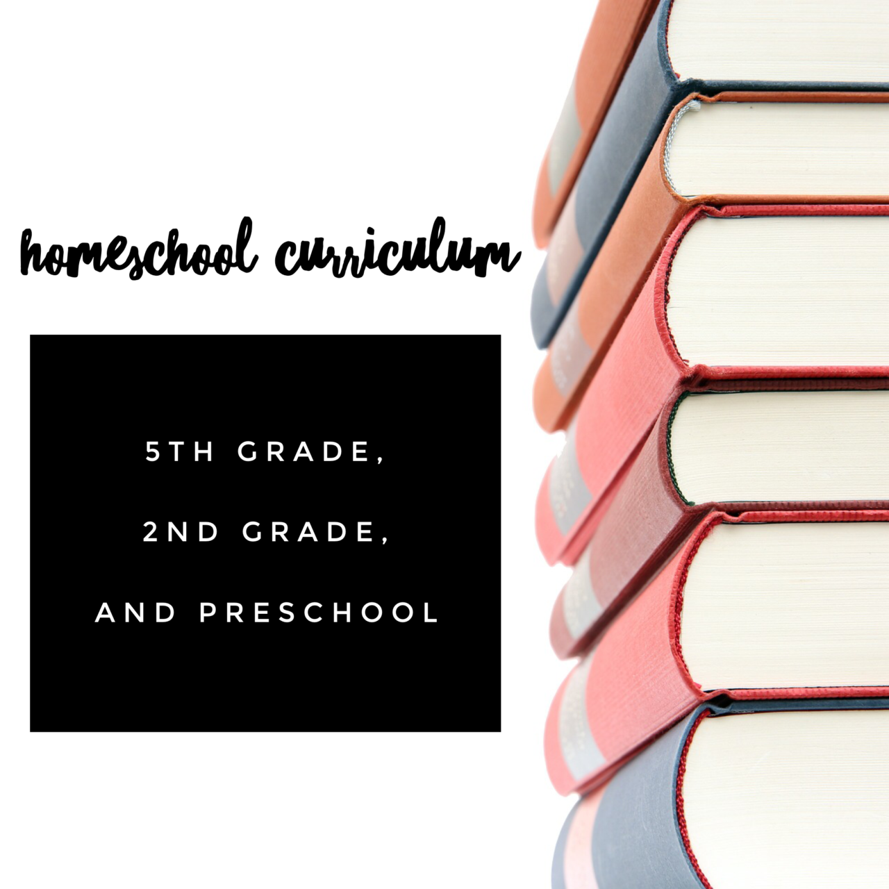 Our 2016/2017 Homeschool Curriculum Choice