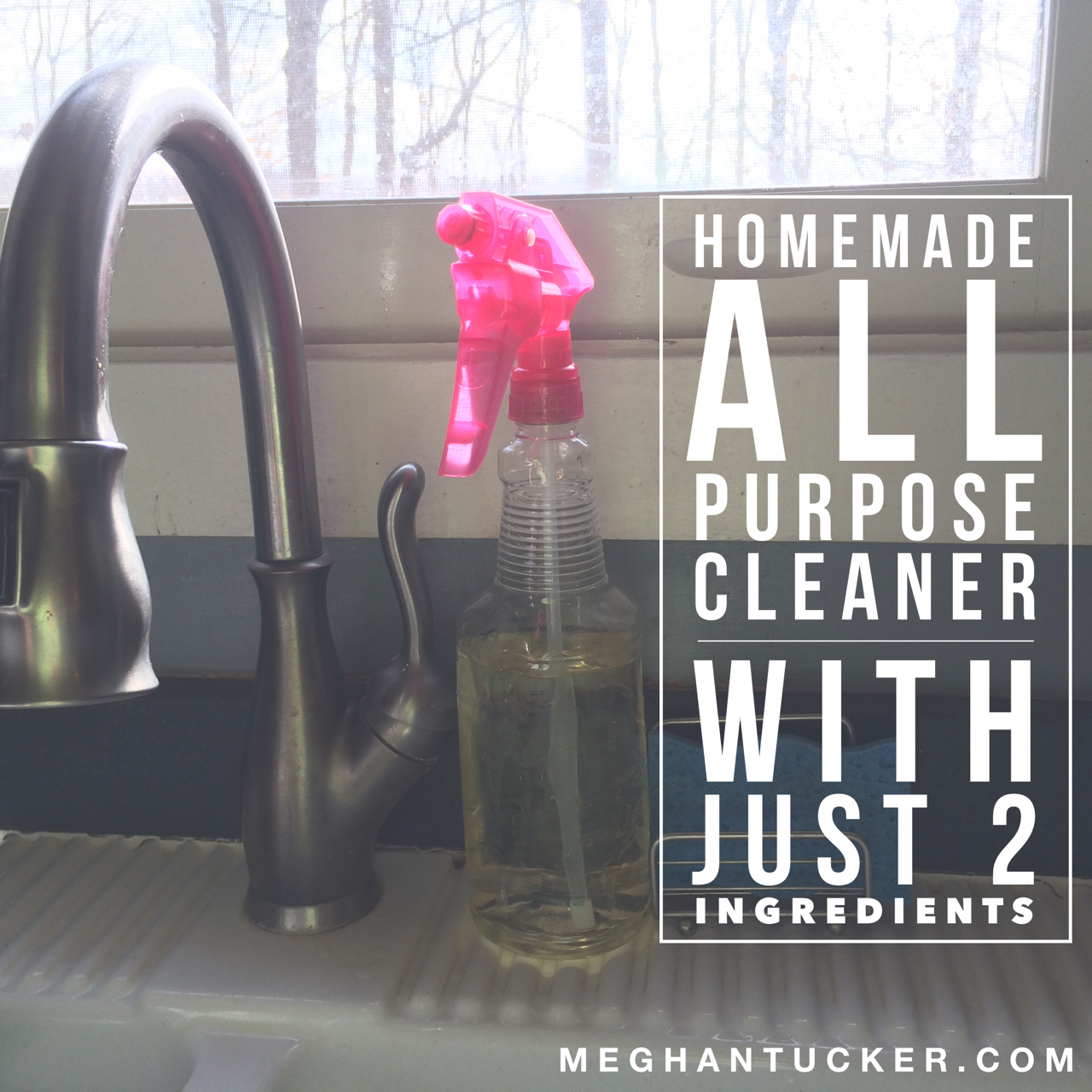 Homemade All Purpose Cleaner Using 2 Household Ingredients