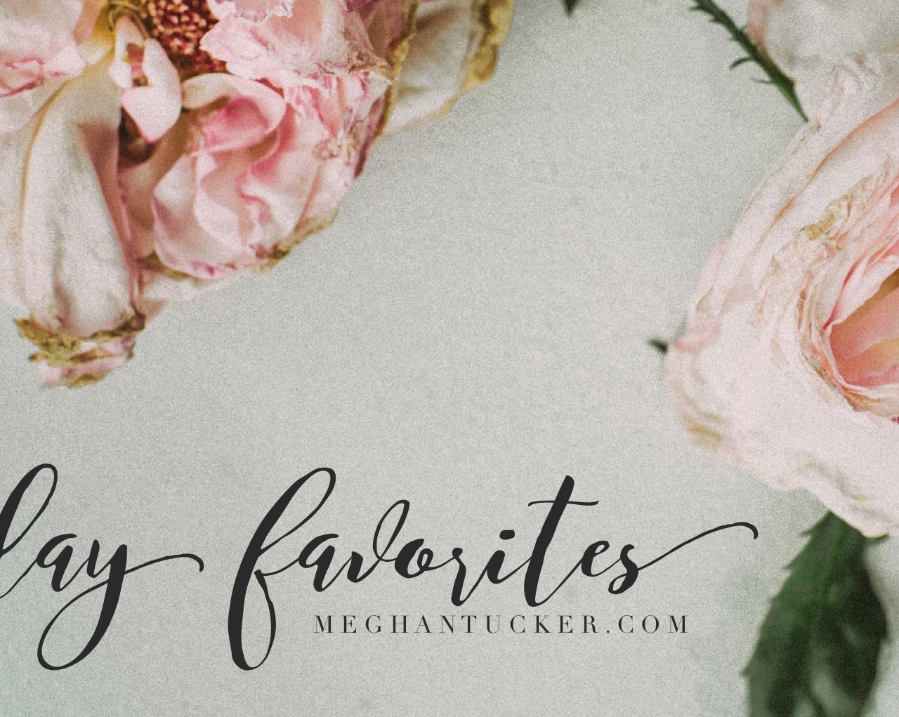 Friday Favorites {and a giveaway}