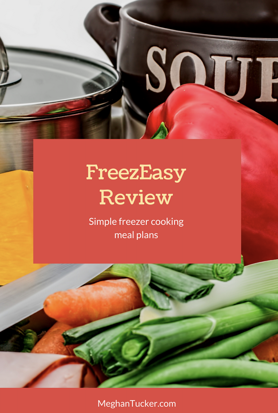 FreezEasy : Simple Freezer Cooking Meal Plans {review}