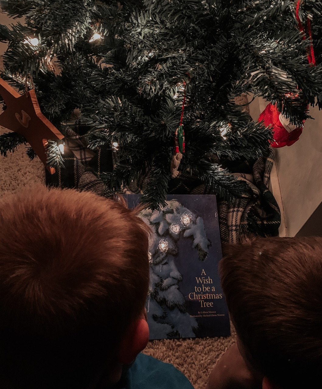 25 Days of Christmas Books