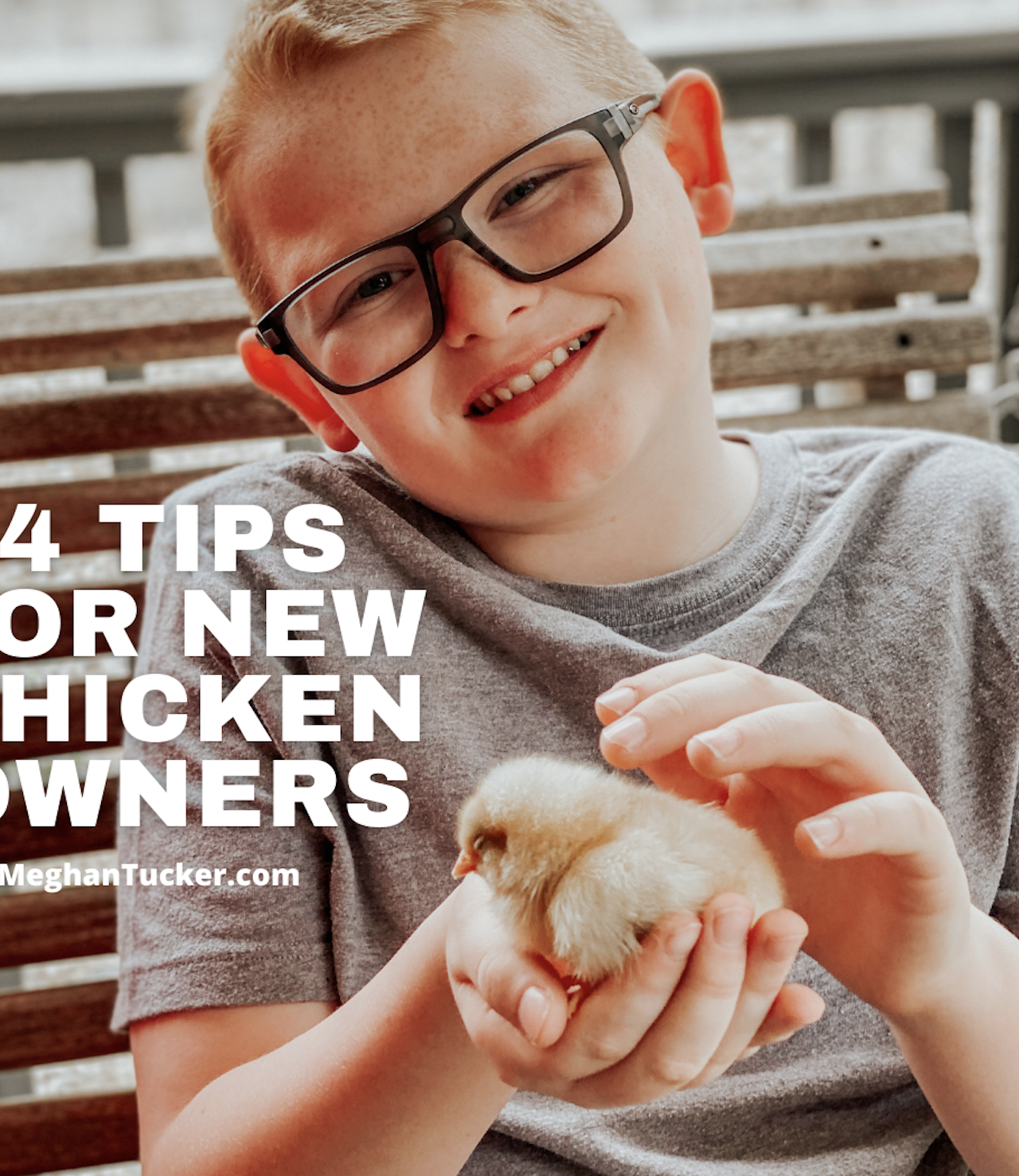So You Think You Want To Raise Chickens: 4 Tips for New Chicken Owners
