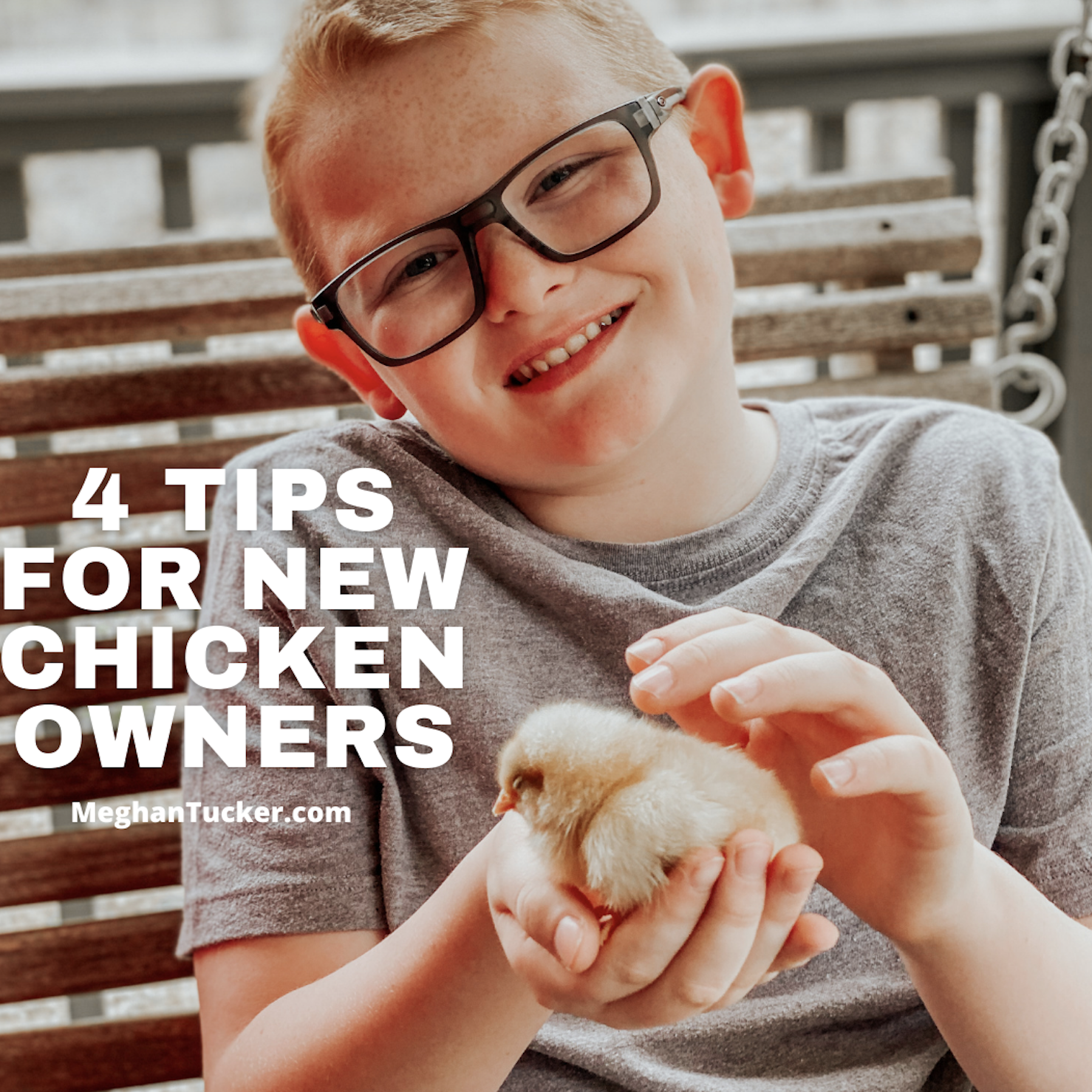 So You Think You Want To Raise Chickens: 4 Tips for New Chicken Owners