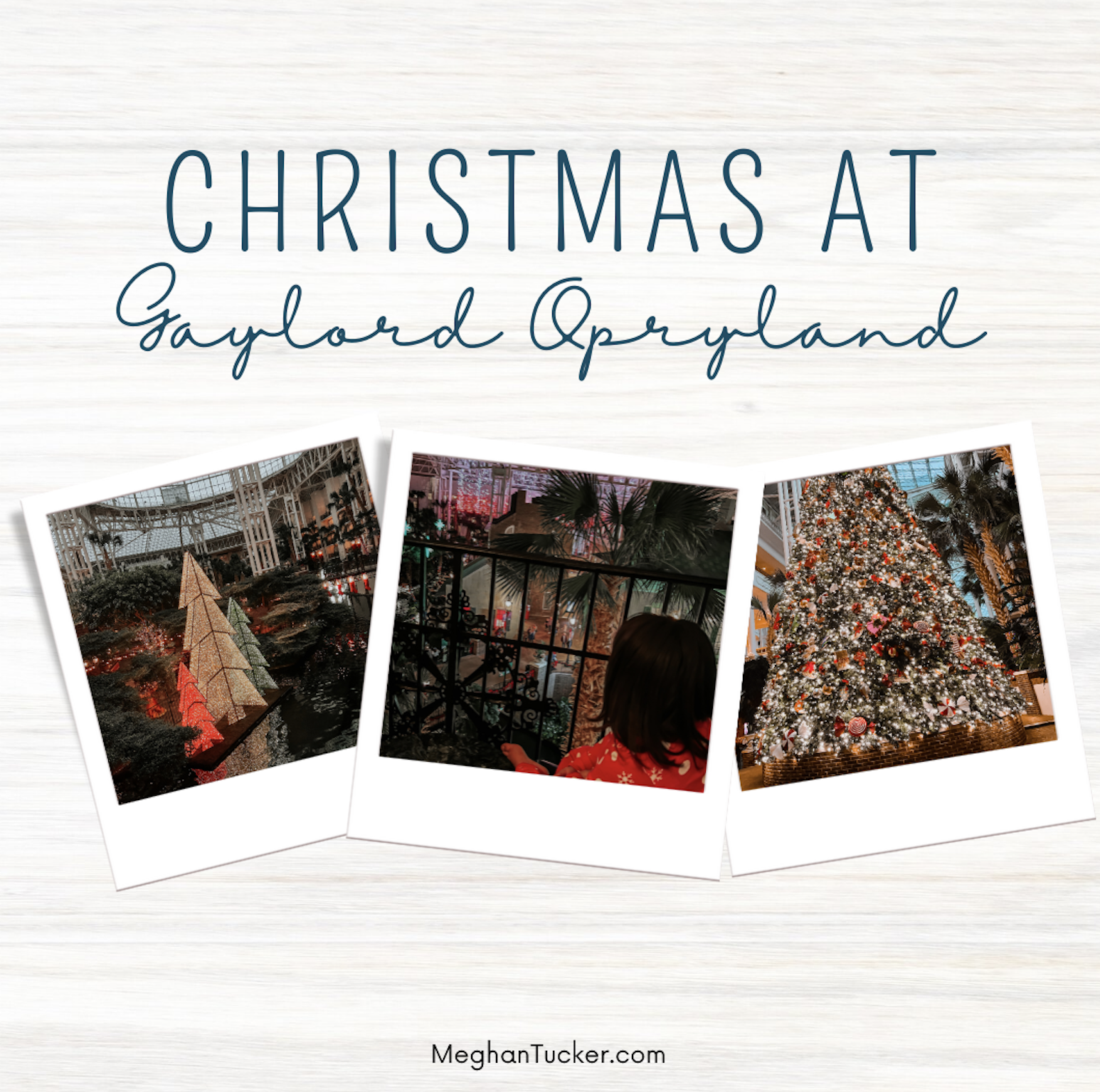 Christmas Time at Gaylord Opryland