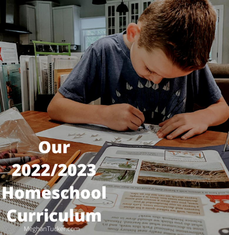 Our 2022/2023 Homeschool Curriculum