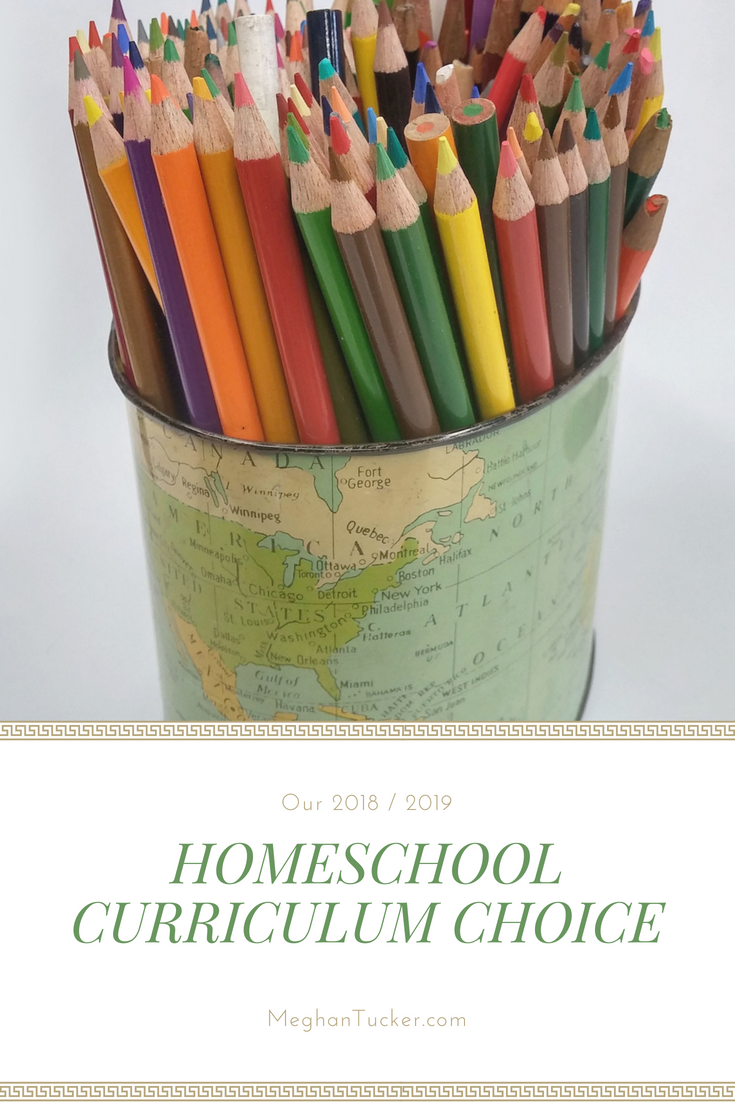 Our 2018 / 2019 Homeschool Curriculum Choice