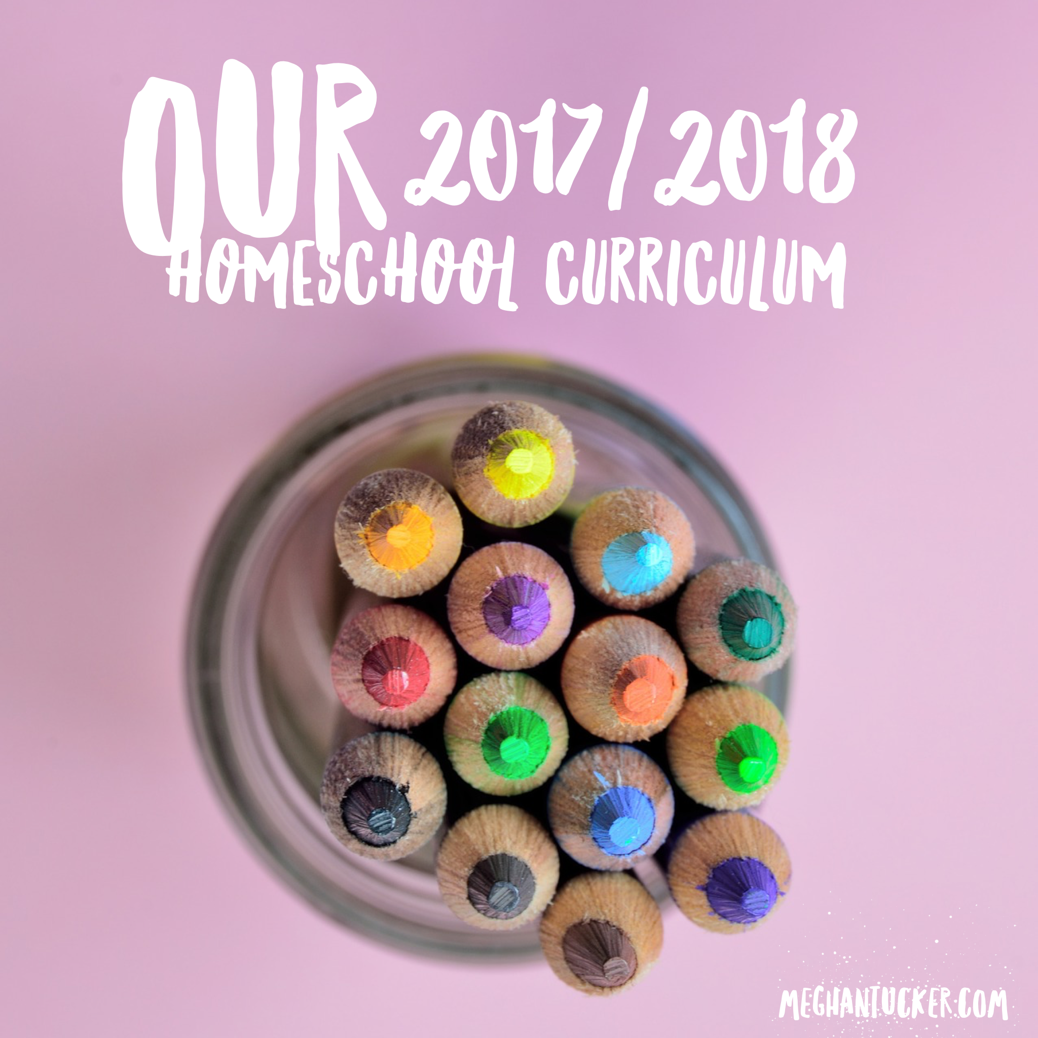 Our 2017/2018 Homeschool Curriculum Choice