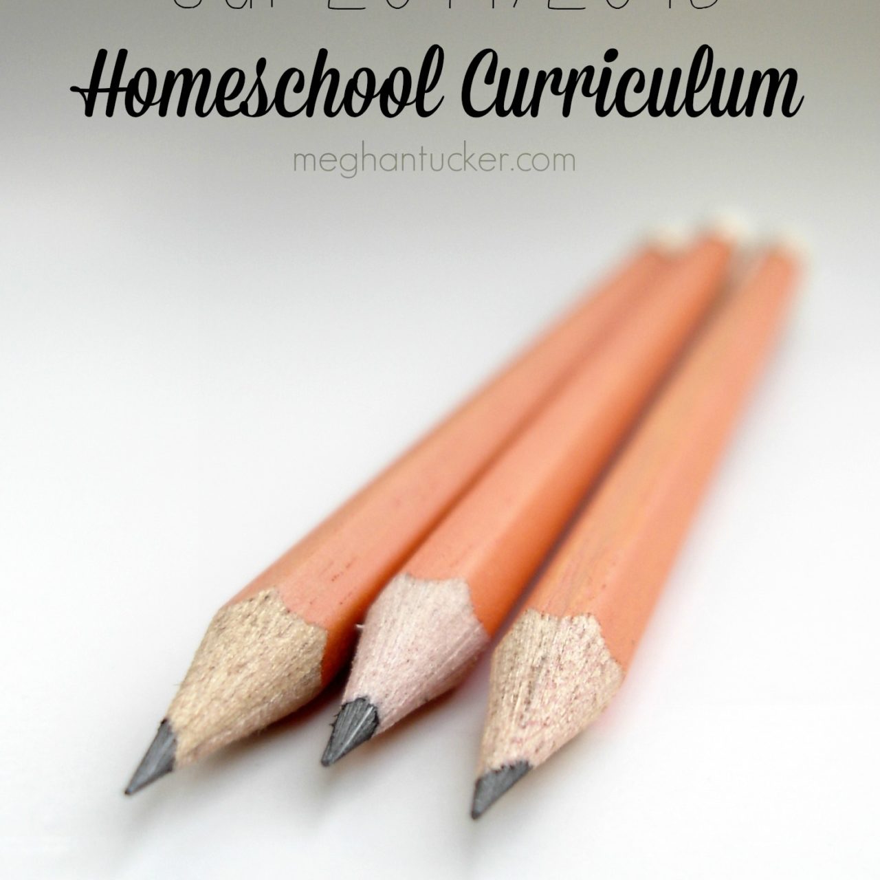 Our 2014/2015 Homeschool Curriculum