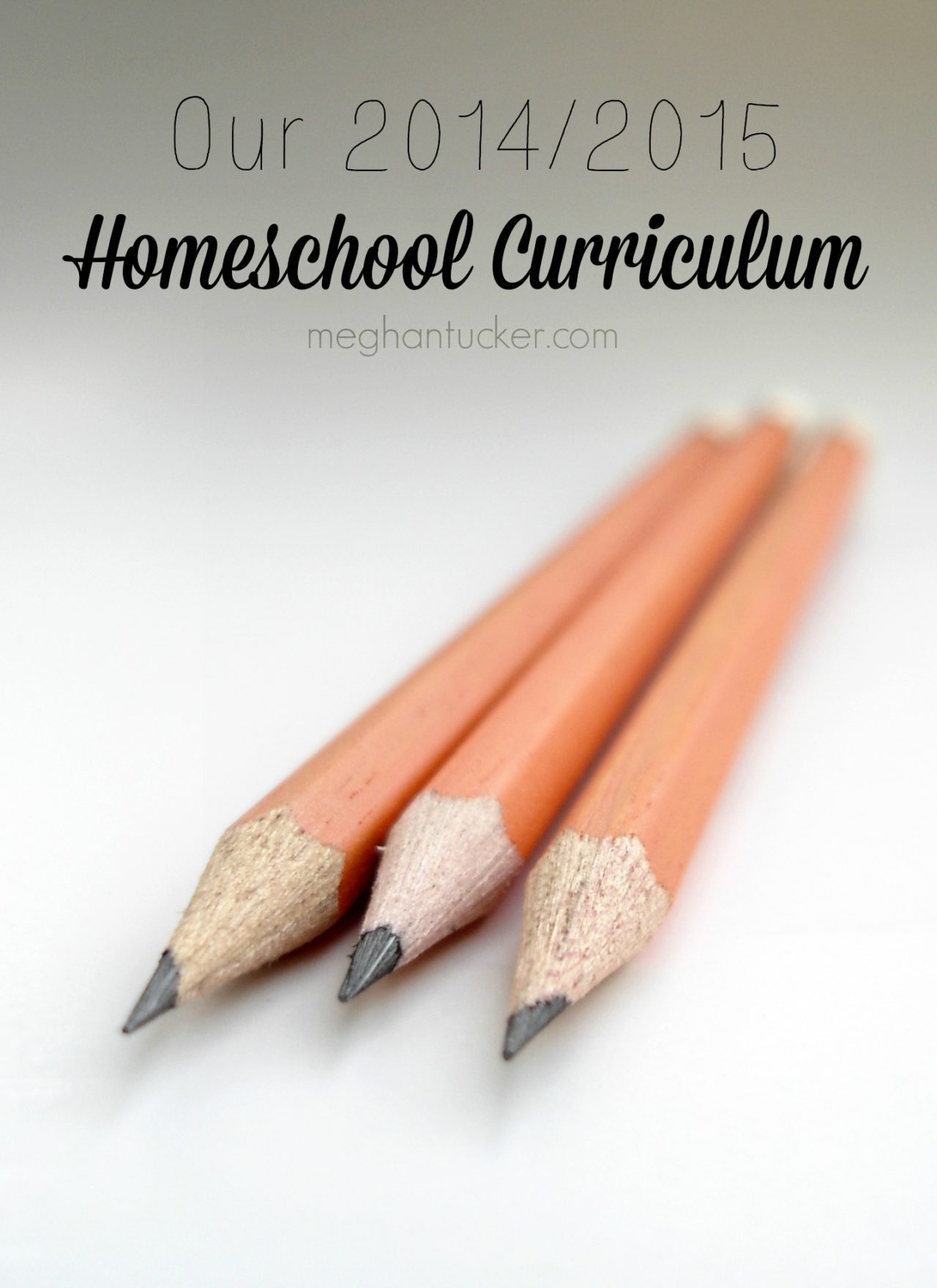 Our 2014/2015 Homeschool Curriculum